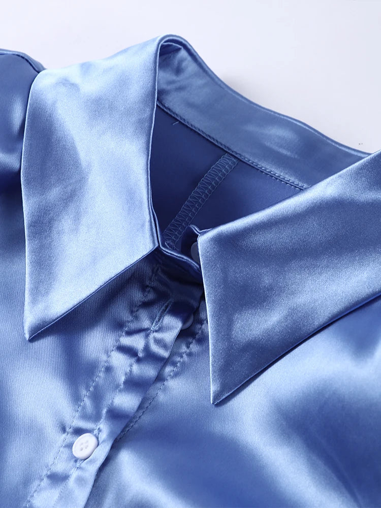 Women's Shirts Lapel Waist Cinching Single Breasted Satin Blouses Spring Female Long Sleeve Slim Tops Chic Ladies Club Partywear — image 13